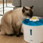 catit-fountain-review Catit Flower Fountain Review: Will Your Cat Actually Drink?
